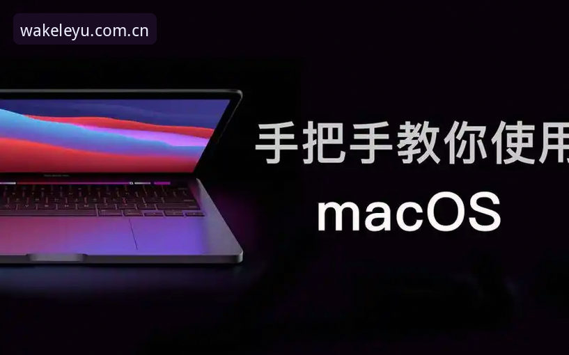 乐鱼中国区电脑客户端安装包新手完整指南